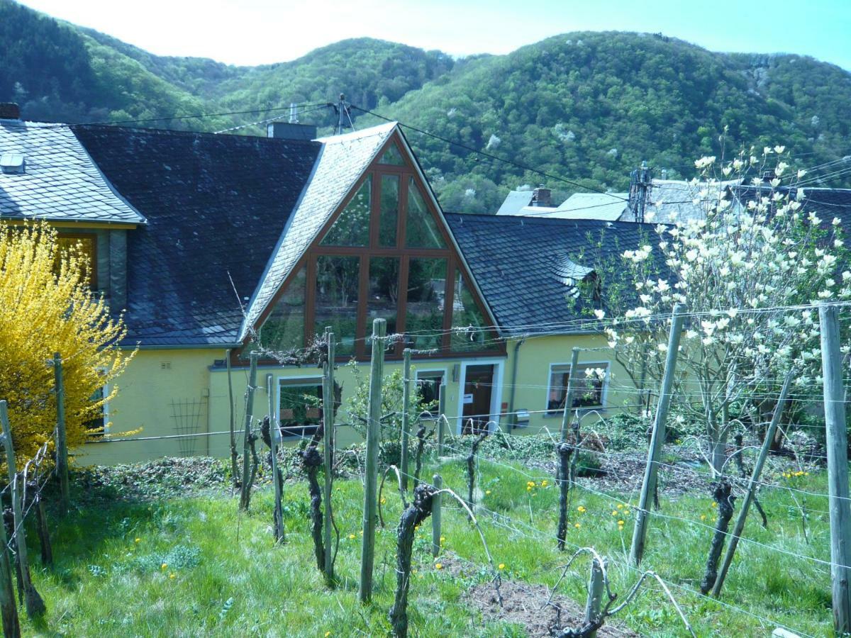 Pension Am Weinberg Мезених Экстерьер фото